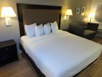 1281-standard-king-3_original