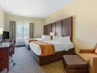 TXC01nqq1_1_original