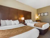 TXC01nqq3_1_original