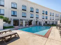 TXC01pool1_1_original