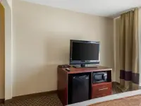 TXC01snk3_1_original