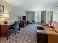 TXC01snkOne3_1_original