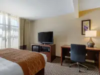 TXC01snkj4_1_original